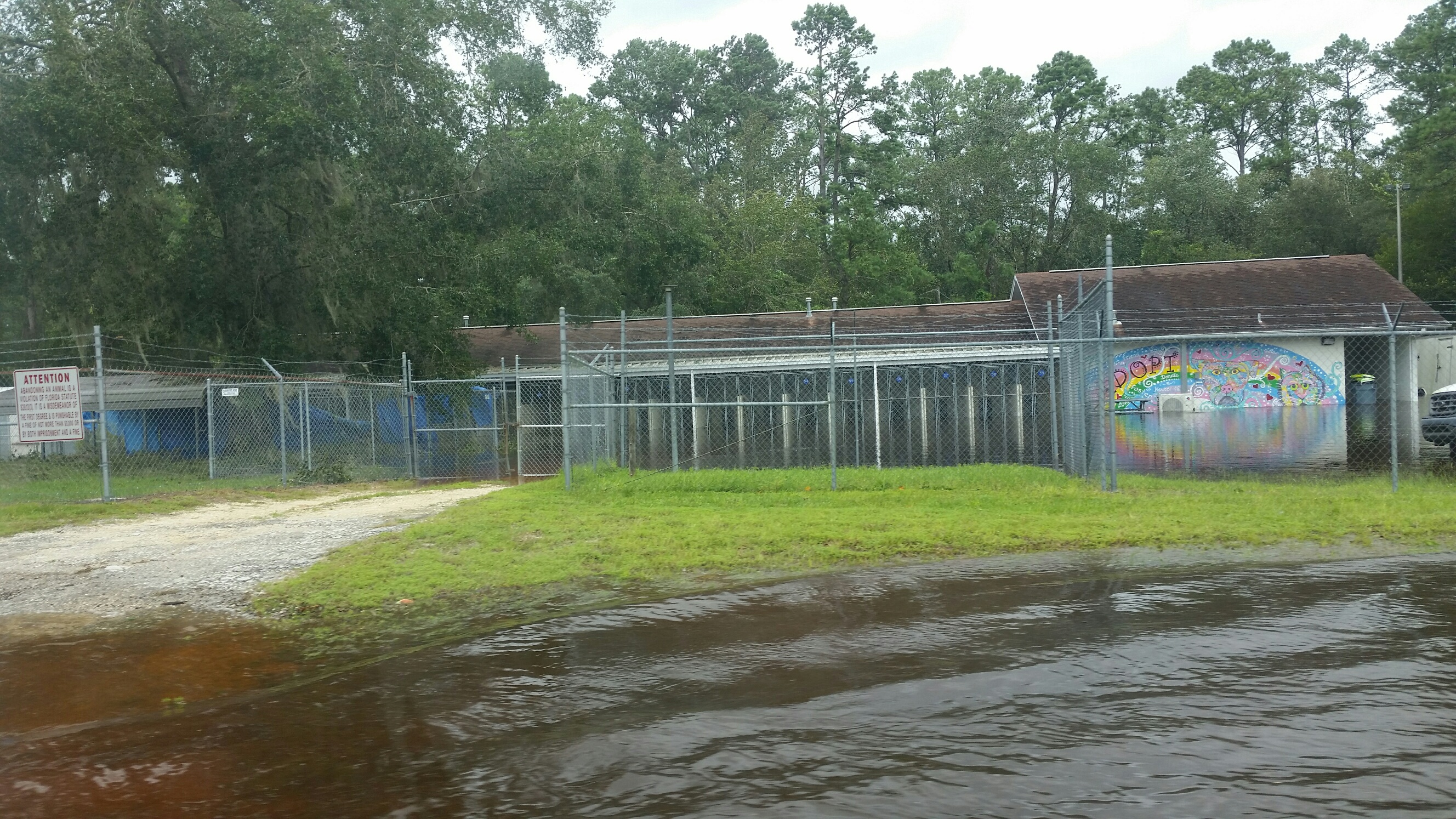 Hurricane Irma Jacksonville Humane Society