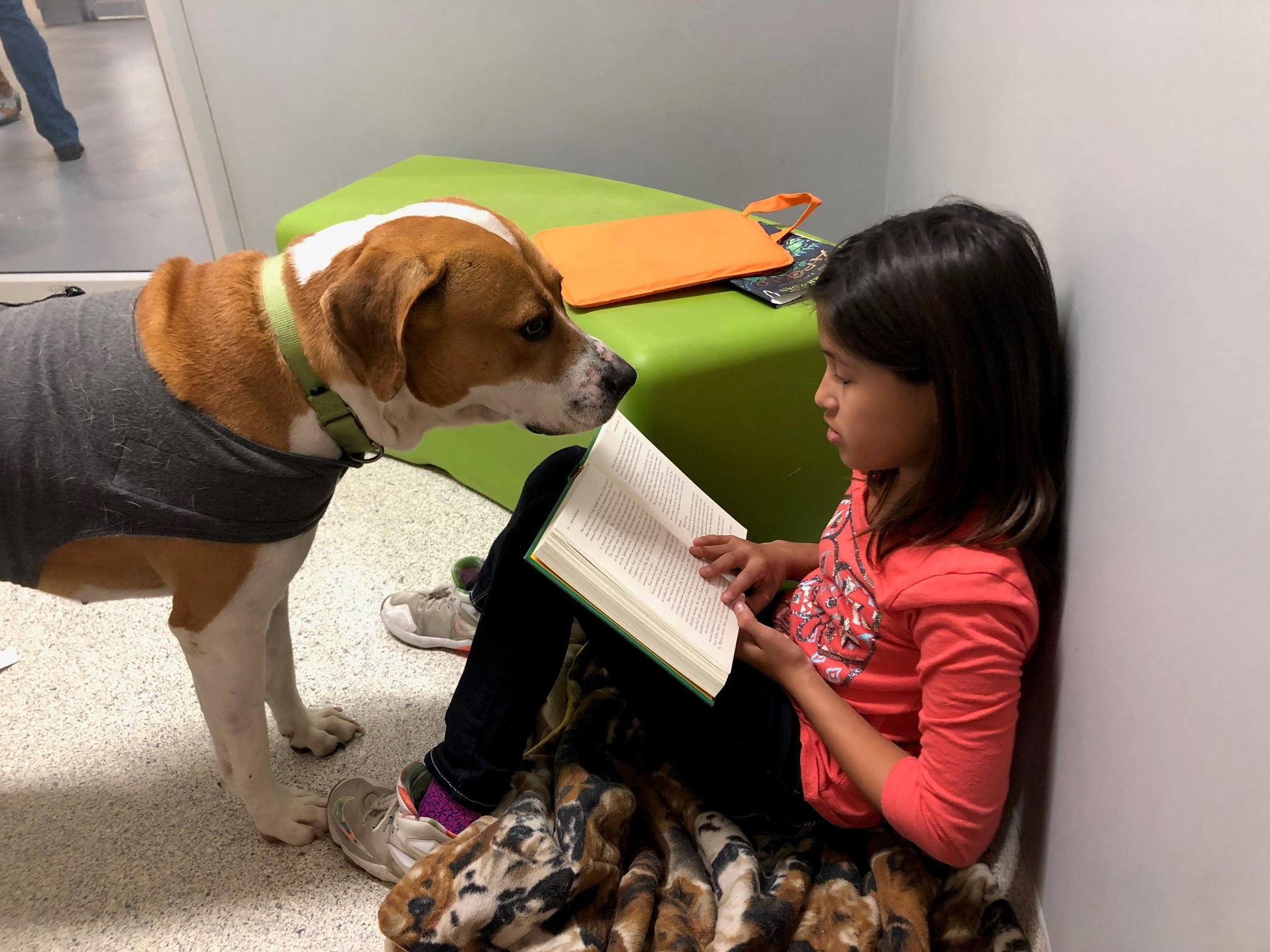 Love Saves Lives Jacksonville Humane Society